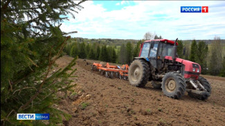 В Коми стартовала посевная