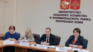 Ильдар Андарьянов провел рабочее совещание по развитию семеноводства картофеля