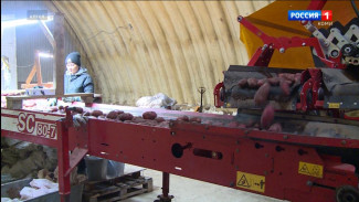 Минсельхоз Республики Коми проводит отбор заявок на возмещение части затрат, направленных на техническое и технологическое перевооружение производств 