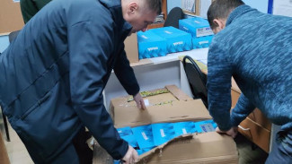 Федерация конькобежного спорта Республики Коми получила 55 пар коньков от Союза конькобежцев России