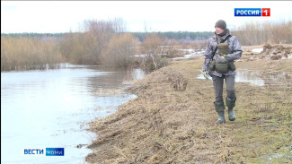 Учёные Коми научного центра ведут наблюдения за птичьей миграцией у села Межадор