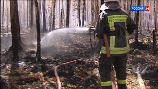 В Усть-Вымском районе ликвидировали лесной пожар