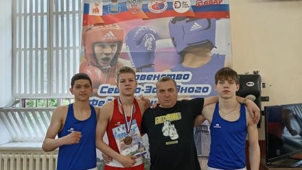 Боксеры Коми завоевали семнадцать медалей на первенстве СЗФО