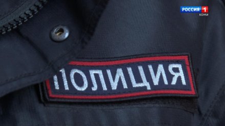 В Сыктывкаре местный житель подсел к девушке в кафе и украл у неё деньги