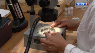 Осторожно, клещи! Осенний сезон в лесах