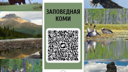Путешествуйте по республике с приложением "Заповедная Коми"