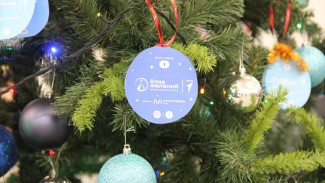  Команда администрации и Совета столицы Коми исполнит заветные мечты детей в рамках акции «Елка желаний»