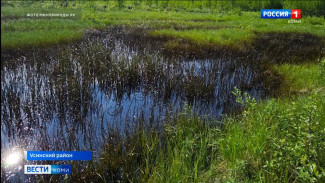  Минприроды Коми зафиксировало два факта разлива нефтепродуктов в республике