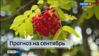 Каким будет сентябрь в Коми