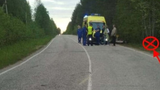 В Сыктывдинском районе разбился мотоциклист