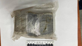 В Ухте полицейские задержали подозреваемого в покушении на сбыт гашиша в крупном размере