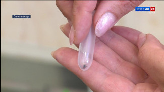 Активность клещей в Коми пошла на спад