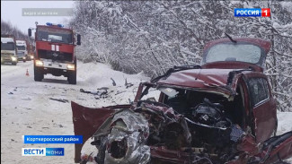Происшествия в Республике Коми 09.01.2026