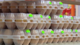 В Коми будут заключать соглашения с торговыми организациями о предельно допустимых ценах на социально значимые продукты