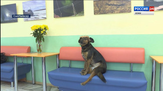 Молодёжная библиотека готовится к библионочи