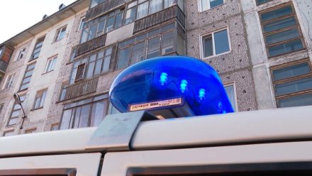 За нападение на сотрудника полиции и его оскорбление жительница Усть- Вымского района отправится в места лишения свободы