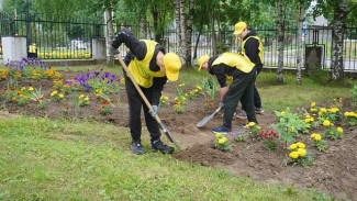 Юные сыктывкарцы активно принимают участие в школьной летней занятости