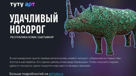 Сыктывкарский «Удачливый носорог» включен в список самых необычных народных арт-объектов России