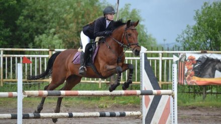 В Коми подвели итоги по чемпионату и первенству Республики Коми по конкуру