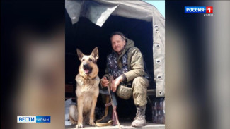 Пес-герой из Коми вышел в лидеры народного голосования на премию «Мой ласковый и нужный зверь»