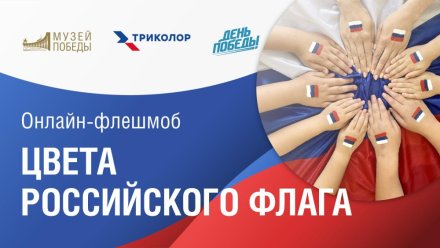 Музей Победы предложил жителям Республики Коми создать триколор ко Дню российского флага