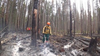 В Республике Коми вводится особый противопожарный режим в лесах