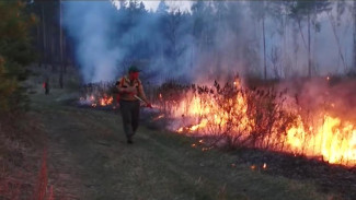 Правительство Коми выделило 9,5 млн рублей на выплаты населению, задействованному в тушении лесных пожаров