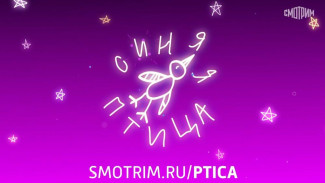 Юные жители Коми могут поучаствовать в кастинге шоу "Синяя птица" на телеканале "Россия"