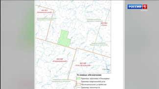 В Коми созданы три новых природных заказника