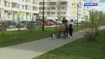 График выплат пособий за май и пенсий за июнь в Республике Коми