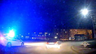 Ирина Волк: в Коми сотрудники Госавтоинспекции с применением оружия задержали лихача без водительского удостоверения