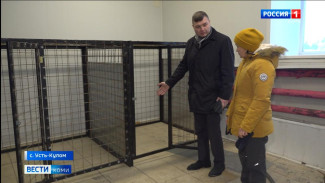 В Усть-Куломе откроется приют для бездомных животных