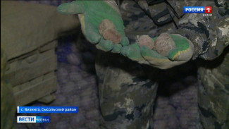 Какие сорта картофеля обеспечат хороший урожай в этом сезоне