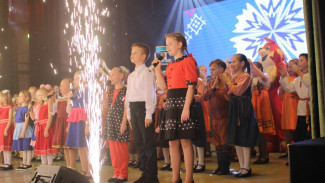 Идет прием заявок на участие в XI Республиканском детском фестивале-конкурсе исполнителей современной коми песни "Василек"