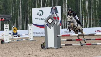 Спортсмены Коми выиграли 15 медалей на всероссийских соревнованиях по конкуру «Кубок Губернатора Свердловской области» по конкуру