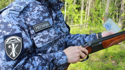 За неделю в Коми изъято 9 единиц охотничьего оружия