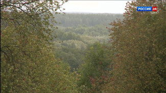 В нескольких районах республики ожидается сильный ветер порывами до 20 м/с