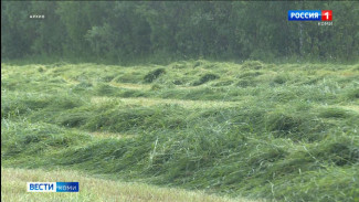 Хозяйства Коми завершили яровой сев и приступили к заготовке кормов