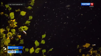 Сегодня православные отмечают Покров Пресвятой Богородицы