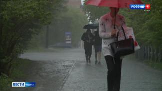 Предупреждение от синоптиков: до вечера на севере Республики Коми будет бушевать сильный ветер