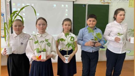 В Коми растет интерес молодежи к аграрному образованию и работе в сфере АПК 